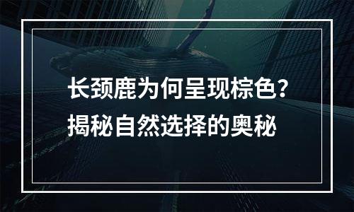 长颈鹿为何呈现棕色？揭秘自然选择的奥秘
