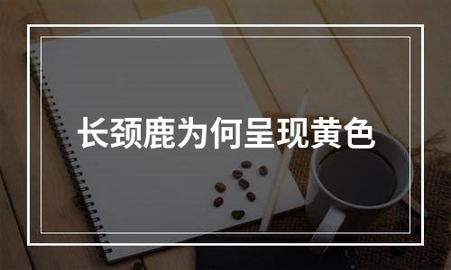 长颈鹿为何呈现黄色
