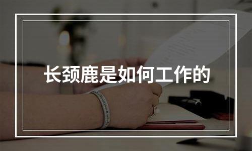 长颈鹿是如何工作的