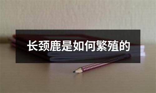 长颈鹿是如何繁殖的