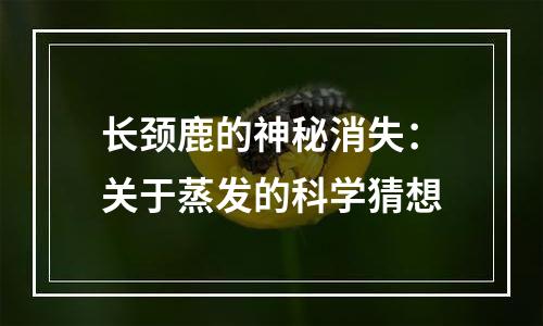 长颈鹿的神秘消失：关于蒸发的科学猜想