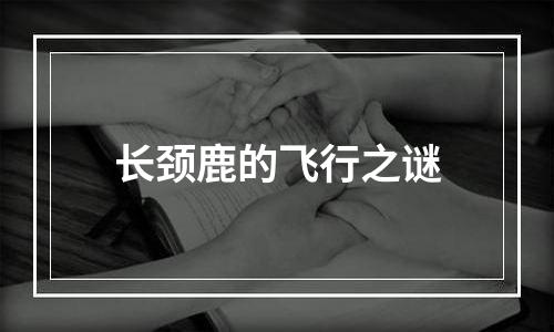 长颈鹿的飞行之谜