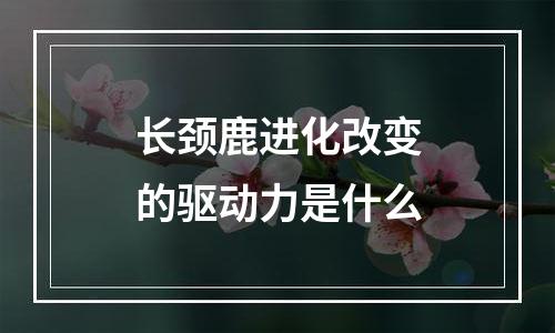 长颈鹿进化改变的驱动力是什么