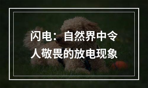 闪电：自然界中令人敬畏的放电现象