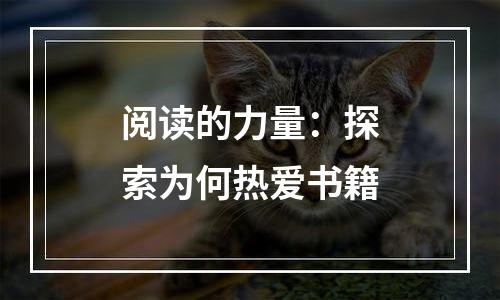 阅读的力量：探索为何热爱书籍