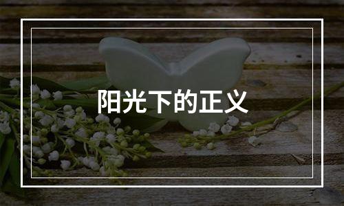 阳光下的正义