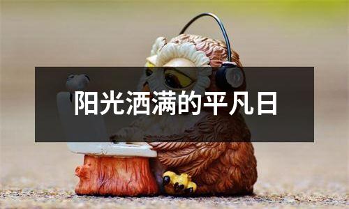 阳光洒满的平凡日