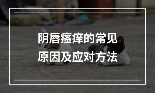 阴唇瘙痒的常见原因及应对方法