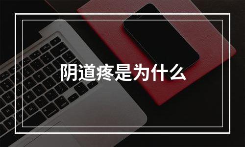 阴道疼是为什么