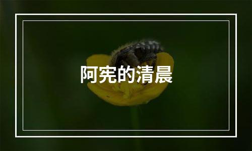 阿宪的清晨