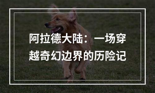 阿拉德大陆：一场穿越奇幻边界的历险记