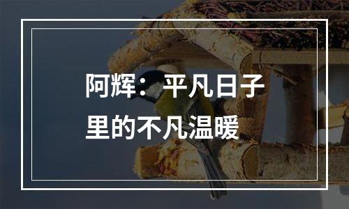 阿辉：平凡日子里的不凡温暖