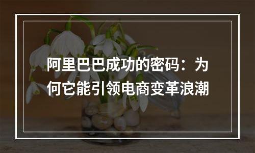 阿里巴巴成功的密码：为何它能引领电商变革浪潮