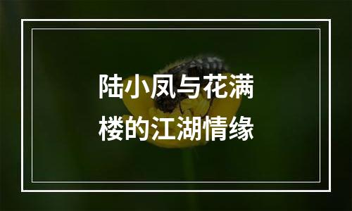 陆小凤与花满楼的江湖情缘
