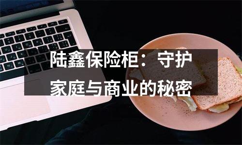 陆鑫保险柜：守护家庭与商业的秘密