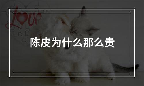 陈皮为什么那么贵