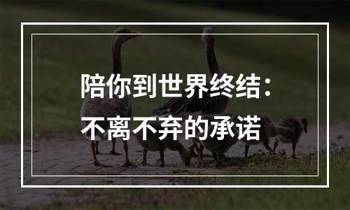 陪你到世界终结：不离不弃的承诺