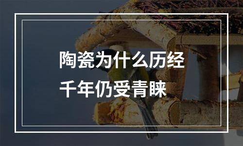 陶瓷为什么历经千年仍受青睐