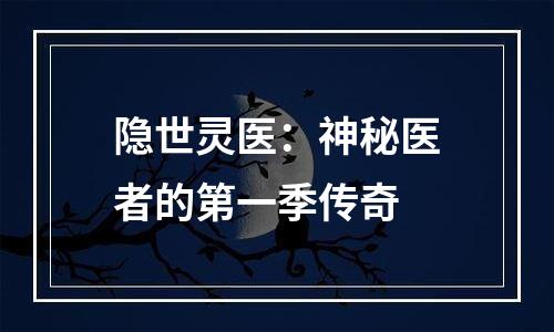 隐世灵医：神秘医者的第一季传奇