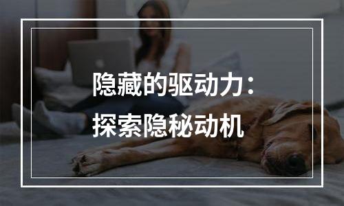 隐藏的驱动力：探索隐秘动机