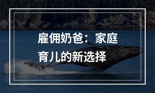雇佣奶爸：家庭育儿的新选择
