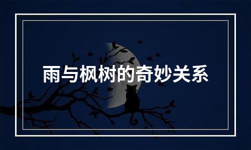 雨与枫树的奇妙关系