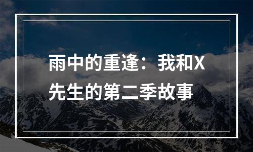 雨中的重逢：我和X先生的第二季故事