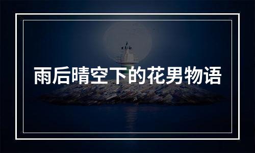 雨后晴空下的花男物语