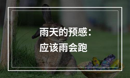 雨天的预感：应该雨会跑