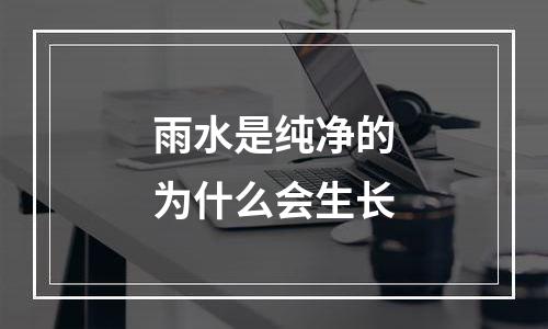 雨水是纯净的为什么会生长