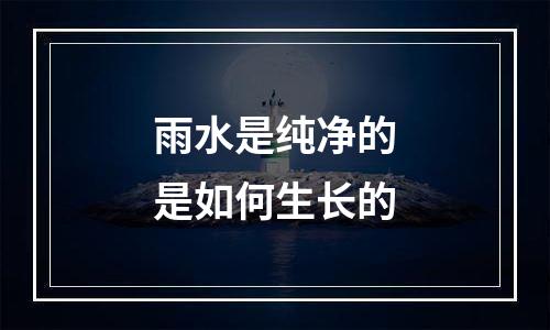雨水是纯净的是如何生长的