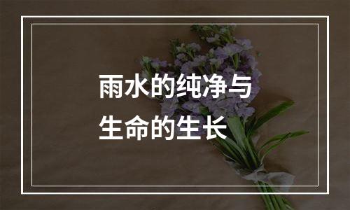 雨水的纯净与生命的生长