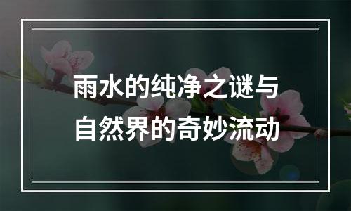 雨水的纯净之谜与自然界的奇妙流动