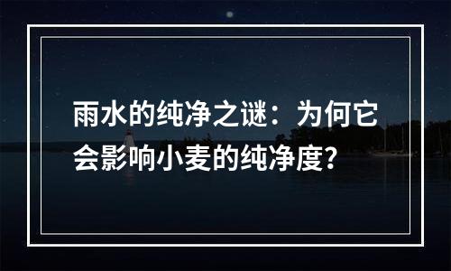 雨水的纯净之谜：为何它会影响小麦的纯净度？