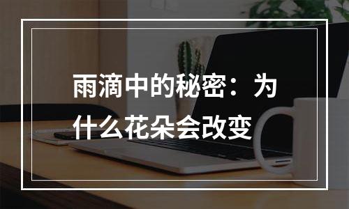 雨滴中的秘密：为什么花朵会改变