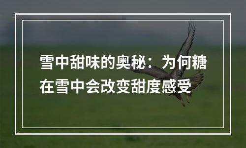 雪中甜味的奥秘：为何糖在雪中会改变甜度感受