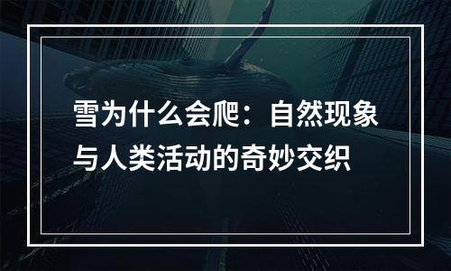 雪为什么会爬：自然现象与人类活动的奇妙交织