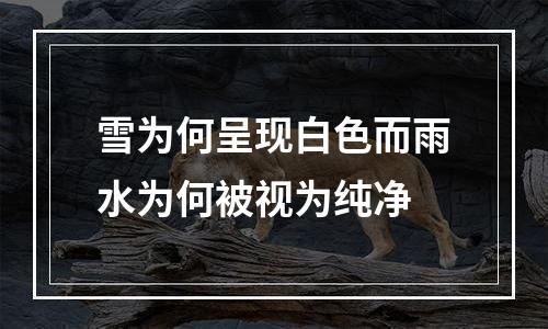 雪为何呈现白色而雨水为何被视为纯净