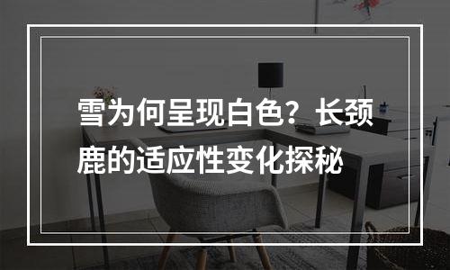 雪为何呈现白色？长颈鹿的适应性变化探秘