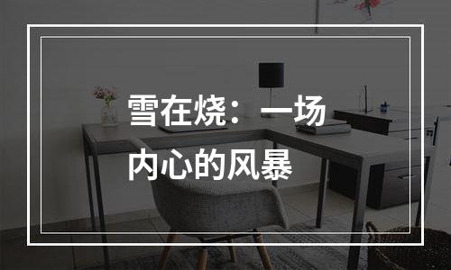 雪在烧：一场内心的风暴