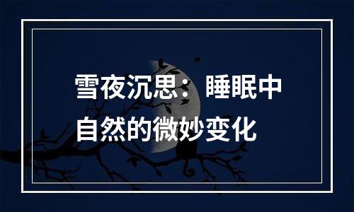 雪夜沉思：睡眠中自然的微妙变化