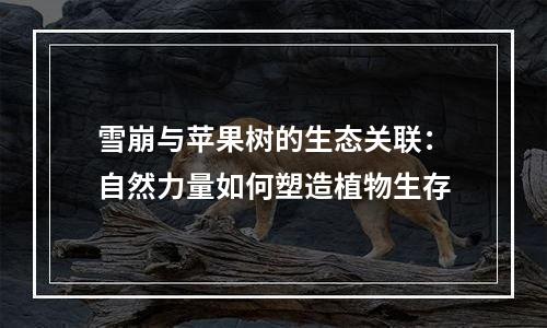 雪崩与苹果树的生态关联：自然力量如何塑造植物生存