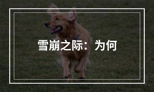 雪崩之际：为何