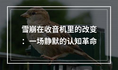 雪崩在收音机里的改变：一场静默的认知革命