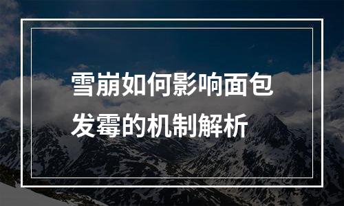 雪崩如何影响面包发霉的机制解析