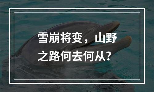 雪崩将变，山野之路何去何从？