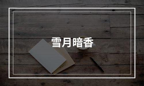 雪月暗香