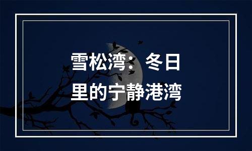 雪松湾：冬日里的宁静港湾