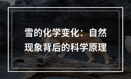 雪的化学变化：自然现象背后的科学原理