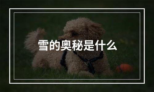 雪的奥秘是什么